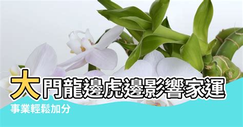 虎邊種樹|【住宅龍虎邊】住宅風水知多少？秒懂「龍虎邊」兩大。